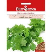 Produktbild Dürr Samen Koriander Marino Saatgut
