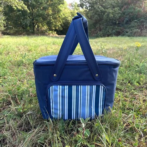 SVITA Kühltasche 20l Tragetasche Kühlbox Lunchtasche mit Tragegriffen Blau