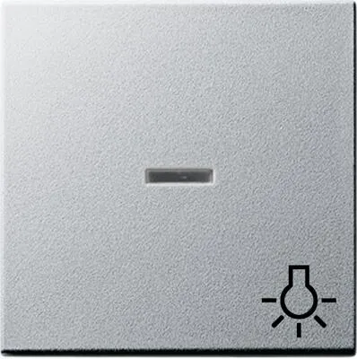 Gira 067426 Wippe mit Symbol Licht und Kontroll-Fenster 