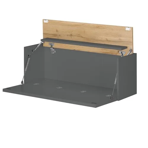 Lomadox Büro Homeoffice Sekretär, wandhängend, anthrazit mit Eiche, B/H/T ca. 100/35/30 cm