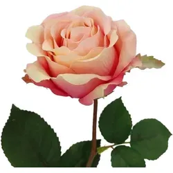 2474U Künstliche Rose Peach, Deko Kunstblume pfirsichfarben, 65 cm - Rosa/Orange