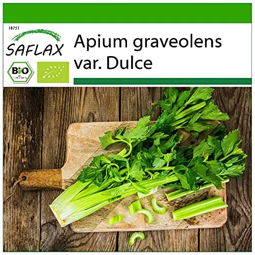 SAFLAX - BIO - Stangensellerie - Tall Utah - 500 Samen - Mit keimfreiem Anzuchtsubstrat - Apium graveolens