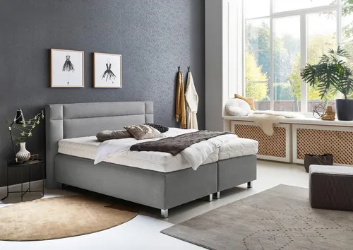 Elegantes Boxspringbett in Grau mit Bonnell-Federkern von Westfalia