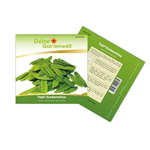 Topf-Zuckererbsen Norli Samen von Deine Gartenwelt