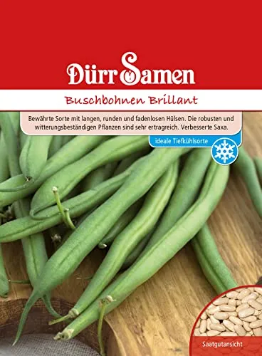 Buschbohnen Samen Brilliant Bohnensamen Grüne Bohnen ca 200 Korn Saatgut Gemüse Garten Hochbeet Kübel Dürr Samen