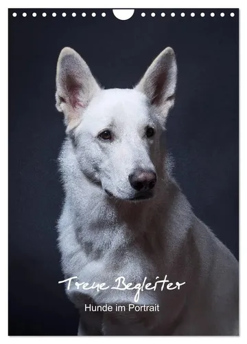 Susanne Stark | Treue Wegbegleiter, Hunde im Portrait. (Wandkalender 2026 DIN...