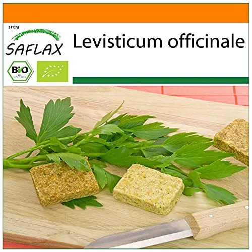 SAFLAX - Garden in the Bag - BIO - Liebstöckel - 100 Samen - Mit Anzuchtsubstrat im praktischen, selbst aufstellenden Beutel - Levisticum officinale
