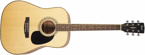 Cort AD 880
