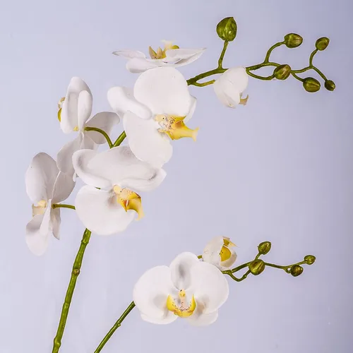 Kunstorchidee Phalaenopsis Textil LAHNA, 8 Blüten, weiß, 95cm - Dekorative Kunstorchidee mit 8 Blüten, ideal für stilvolle Innenräume. Pflegeleicht und langlebig, bringt sie einen Hauch von Eleganz in jedes Zuhause.