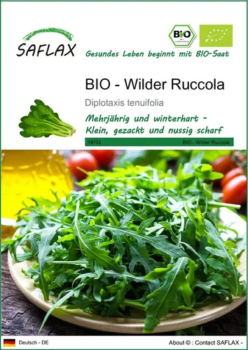 SAFLAX Gemüsesamen SAFLAX - Samen - BIO - Wilder Ruccola