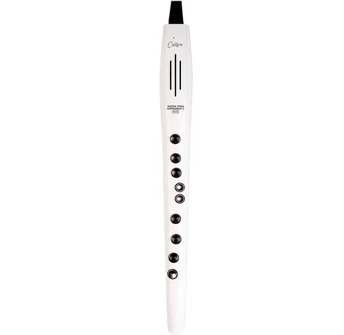 Carry-on Blockflöte CARRY-ON-DWI-2-PLUS