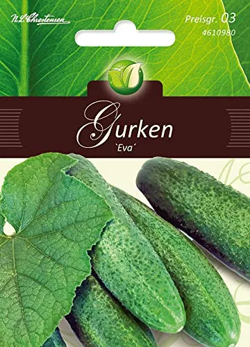Einlegegurken, Eva