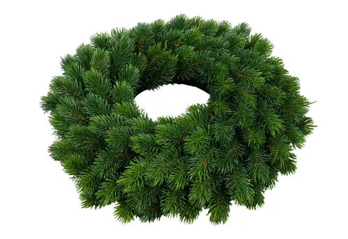 Edel Tannenkranz YF 42cm in grün von Seidenblumen Roß