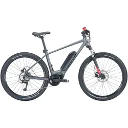 Bulls LT CX 29'' 545 Wh grau 2024 von Bull's