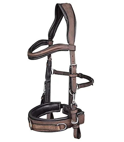 WALDHAUSEN Anatomic Lederkappzaum, braun, WB - Zubehör für Sattel- & Zaumzeug, anatomischer Schnitt für mehr Freiheit an Ohren und Jochbein, weich gepolstert für optimalen Tragekomfort.