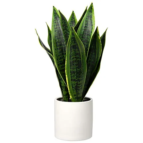 Briful Künstliche Sansevieria Zimmerpflanze Kunstpflanze Dekopflanze in Weißem Keramiktopf Weiß Höhe 40.6cm (Grün)