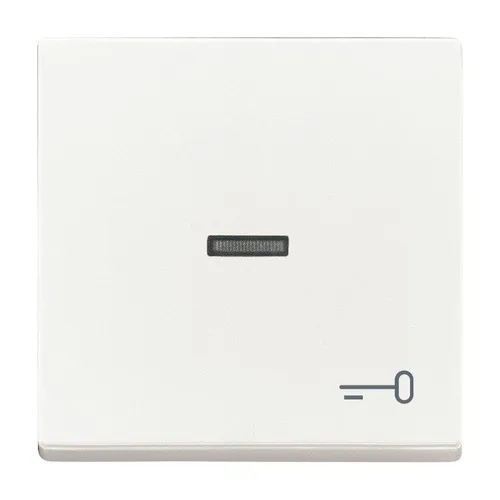 Busch-Jaeger 1789 TR-84 Wippe 1-fach mit Symbol 