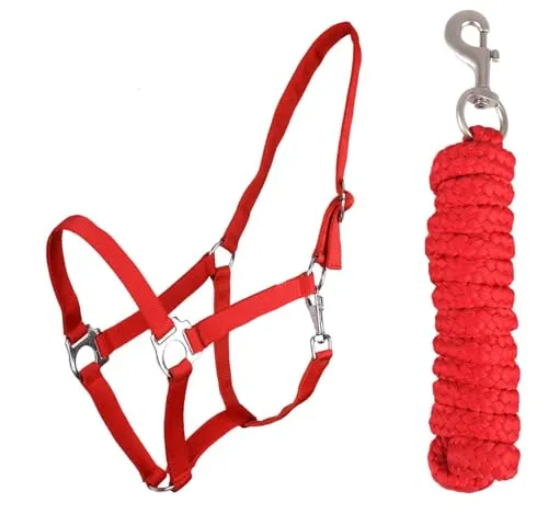 ARBO-INOX Halfter-Set Beginner - Halfter + Führstrick mit Karabinerhaken verstellbar (Shetty, Rot)