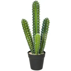 HOMCOM Kunstpflanze Kaktus 53 cm – Dekorative Kunstpflanze für Zuhause und Büro - Echte Optik ohne Pflegeaufwand: Diese 53 cm hohe Kunstpflanze im Topf bringt stilvolle Akzente in Ihr Zuhause und Büro. Ideal für eine einladende Atmosphäre in jedem Raum.