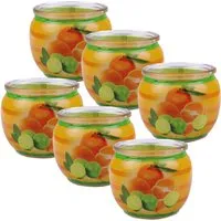 HS Candle Duftkerze Motiv 6er Pack Citrus Fruits