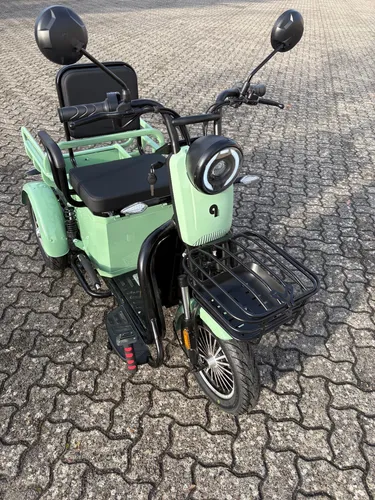 qmove-3Rad-Elektro-Seniorenmobil-25Km/h-Elektromobil-Leichte Montage-qteck