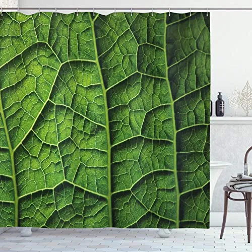 Duschvorhänge Grün von Abakuhaus