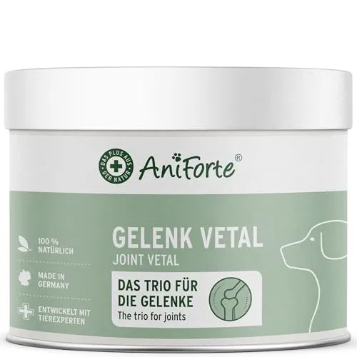 AniForte Gelenk-VETAL 3 Gelenkpulver für Hunde 250g - Naturprodukt mit Grünlippmuschel-Pulver, Fisch Kollagen & Teufelskralle, Für Gelenke & Bewegung