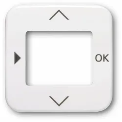 Busch-Jaeger 6435-214 Zentralscheibe für Timer/Raumtemperatur-Regler-Bedienelement mit Aufdruck Symbol 