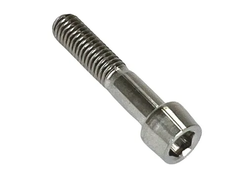 Produktbild Fantic26 Fahrradsattel Titan M5x24 Schraube für Carbon Sattelklemme (Kleiner Kopf) Natur