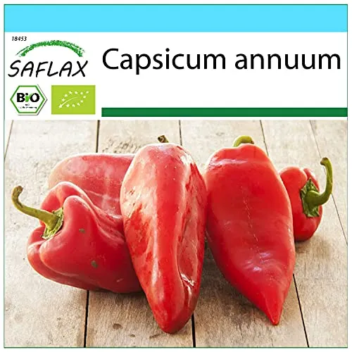 SAFLAX - Geschenk Set - BIO - Paprika - Long Red Marconi - 20 Samen - Mit Geschenk- / Versandbox, Versandaufkleber, Geschenkkarte und Anzuchtsubstrat - Capsicum annuum