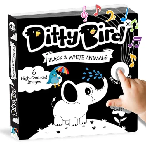 Ditty bird