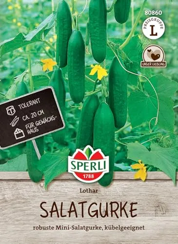 Sperli Salatgurkensamen Lothar, F1 80860 - Robuste Mini-Salatgurke - Kübelgeeignet - Inhalt für 7 Pflanzen - Gemüsesamen, Samen Gemüse, Saatgut