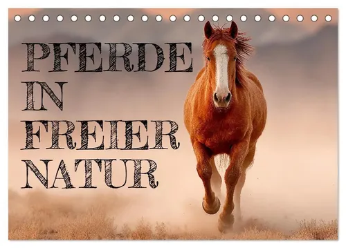 Mb Fotografie | Pferde in freier Natur Tischkalender 2026 - Kalender mit 14 Seiten, zeigt edle Pferde in freier Natur - ideal für Pferdeliebhaber und Naturfreunde, hergestellt in Deutschland von Calvendo.