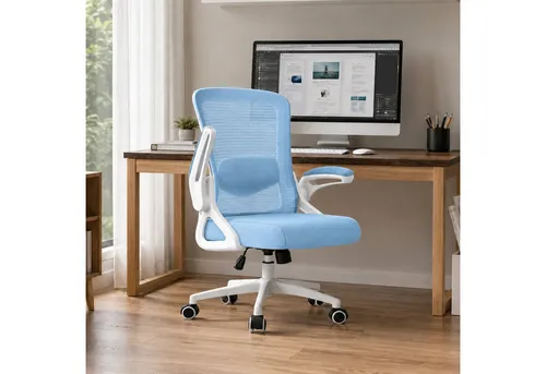Hoolamyie Ergonomischer Bürostuhl mit Lendenstütze und klappbaren Armlehnen