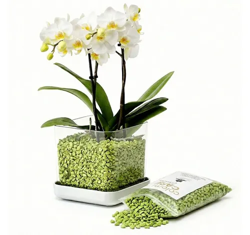 colomi Blumentopf ColomiCare Orchideentopf transparent + 1 L Orchideengranulat – Set (Spar-Set, 1x Orchideentopf 1x 1Liter Orchideengranulat)