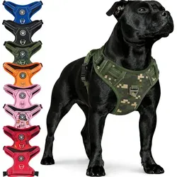 Reichstadt Hunde-Geschirr RS Pets Norwegergeschirr 25RSP083, Polyester, atmungsaktives Netzgewebe und robuster Oxford-Stoff grün L