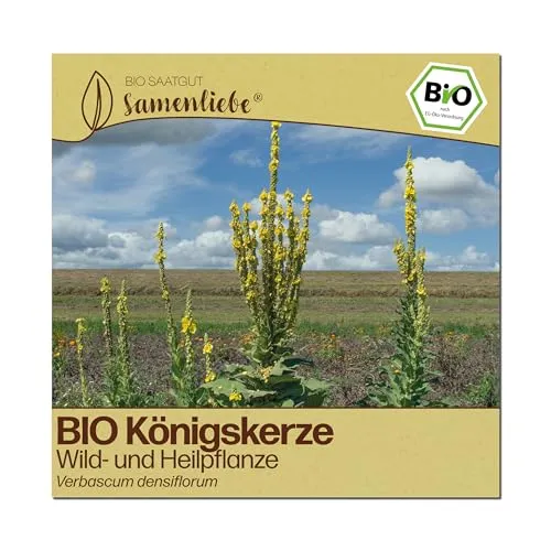 Samenliebe BIO Königskerze Samen | Heilpflanze & Wildblume in gelb von Samenliebe