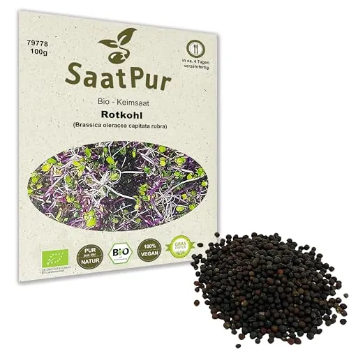 BIO Keimsprossen Rotkohl Samen für die Sprossenanzucht Sprossen Microgreen Mikrogrün 100 g