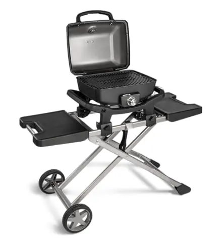 Weber Gasgrills bis 500 Euro von Burnhard