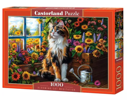 Castorland Puzzles von Castorland