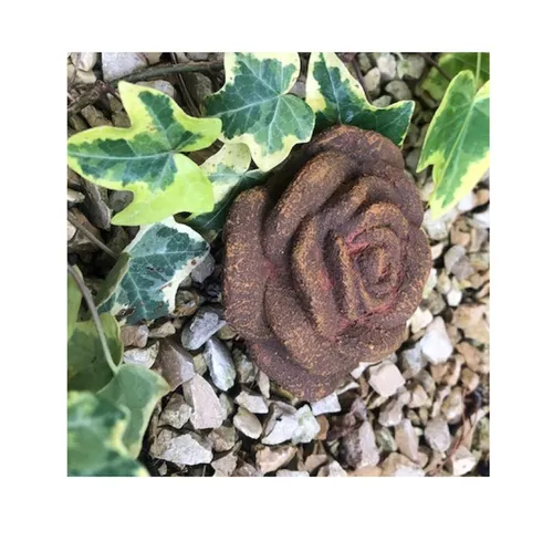 Rosenblüte Stein Rose Steinrose Rosen Blüte Blumen frostfest Rost Optik 8cm