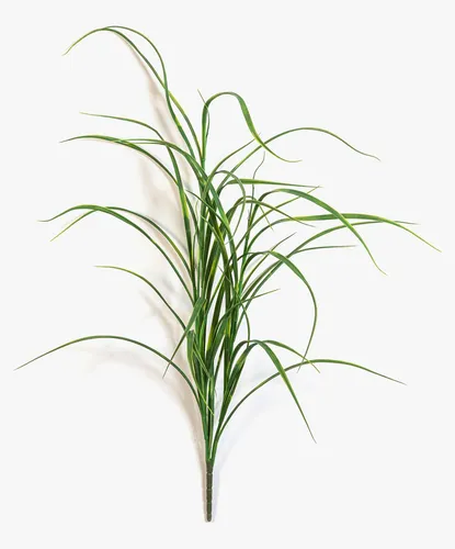 Kunstgras Deko Seegras Katerina auf Steckstab, 80 cm, grün - Dekoratives Kunstgras Seegras Katerina, ideal für kreative Innengestaltung. Langlebig und pflegeleicht, perfekt für stilvolle Akzente in jedem Raum. Lieferung ohne Übertöpfe.
