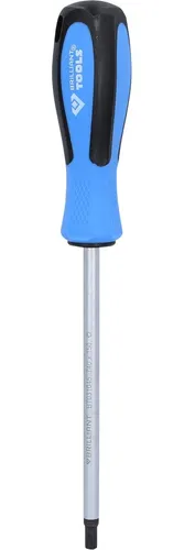 Brilliant Tools Schraubendreher TORX, T40 x 150 mm
