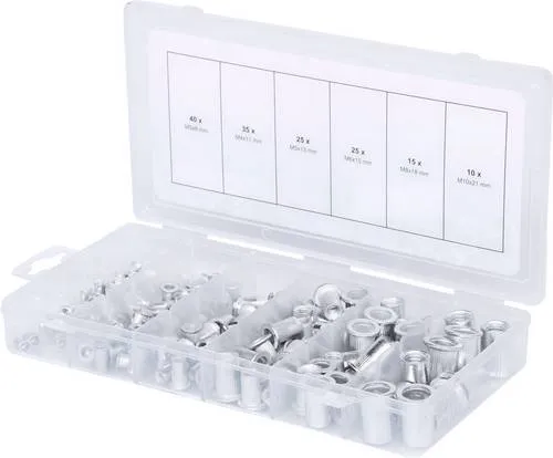 KS Tools Gewindenieten Sortiment 150-teilig - Befestigungstechnik-Sortimente mit Aluminium-Gewindenieten in verschiedenen Größen, ideal für zuverlässige Verbindungen und einfaches Handling im stabilen Kunststoffkoffer.