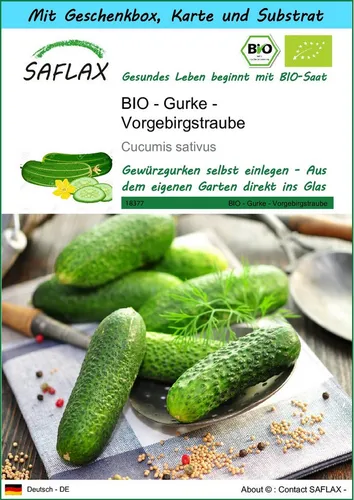 SAFLAX Gemüsesamen SAFLAX - Geschenkset - BIO - Gurke - Vorgebirgstraube