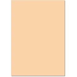 Folia Tonpapier 6410, A4, chamois, 130g/m², 100 Blatt
