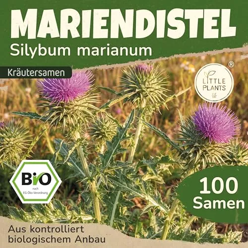 Saatgut von Little Plants