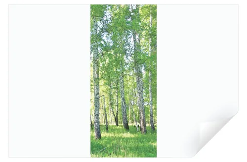 Wallarena Türtapete Selbstklebend Küche Wald Birkenwald Türfolie Türaufkleber Tür 91x211, Glatt, Grün Wald, Türtapete Selbstklebend
