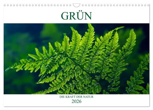 GRÜN . Die Kraft der Natur (Wandkalender 2026 DIN A3 quer) - Kalender für Gesundheit und Wohlbefinden, bringt mit inspirierenden Naturmotiven Energie und Ruhe in Ihr Zuhause.