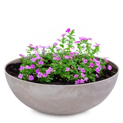 matches21 Pflanzschale für draußen - Vintage Dekoschale Sand beige marmoriert als Blumentopf Pflanztopf - Schale in 20 x 7,5 cm als Garten Vogeltränke Balkon-Deko oder Friedhof Grabschale